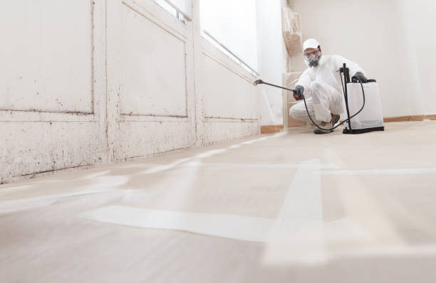 24/7 Emergency Black Mold Remediation experts in Luthersburg, PA